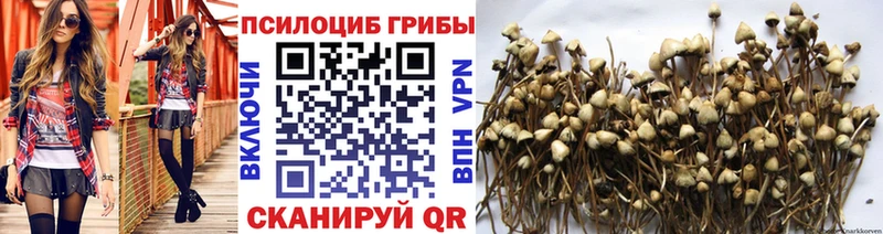 Псилоцибиновые грибы мухоморы  Губкинский 