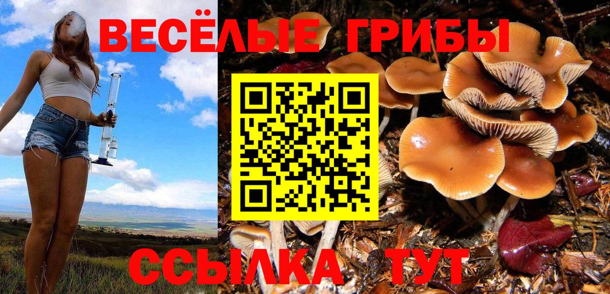 Псилоцибиновые грибы Magic Shrooms Губкинский
