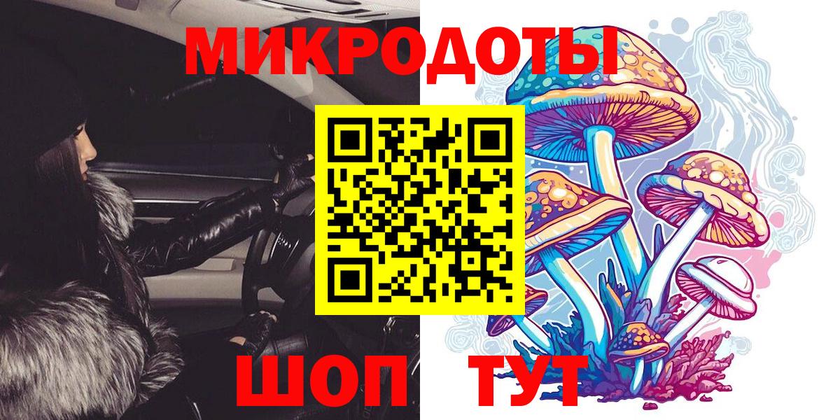 Галлюциногенные грибы Губкинский