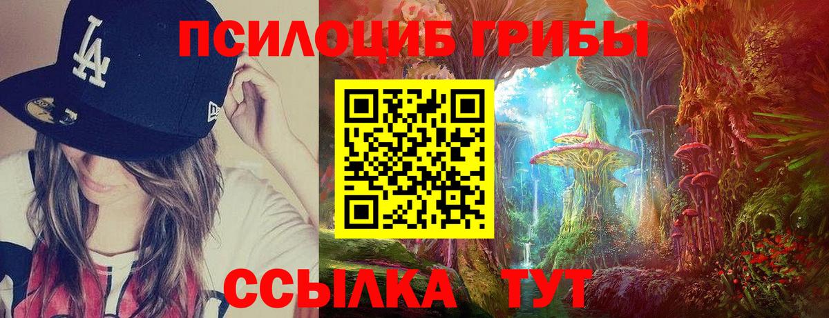 Галлюциногенные грибы Magic Shrooms  Псилоцибиновые грибы прущие грибы  Губкинский 
