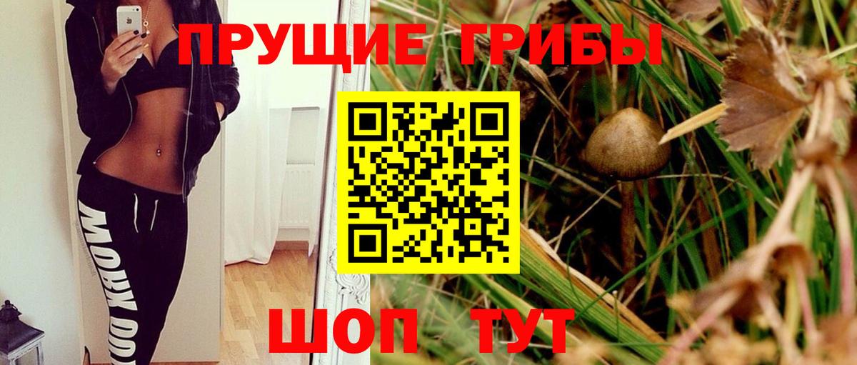 Псилоцибиновые грибы Cubensis  Вход с VPN  Губкинский 