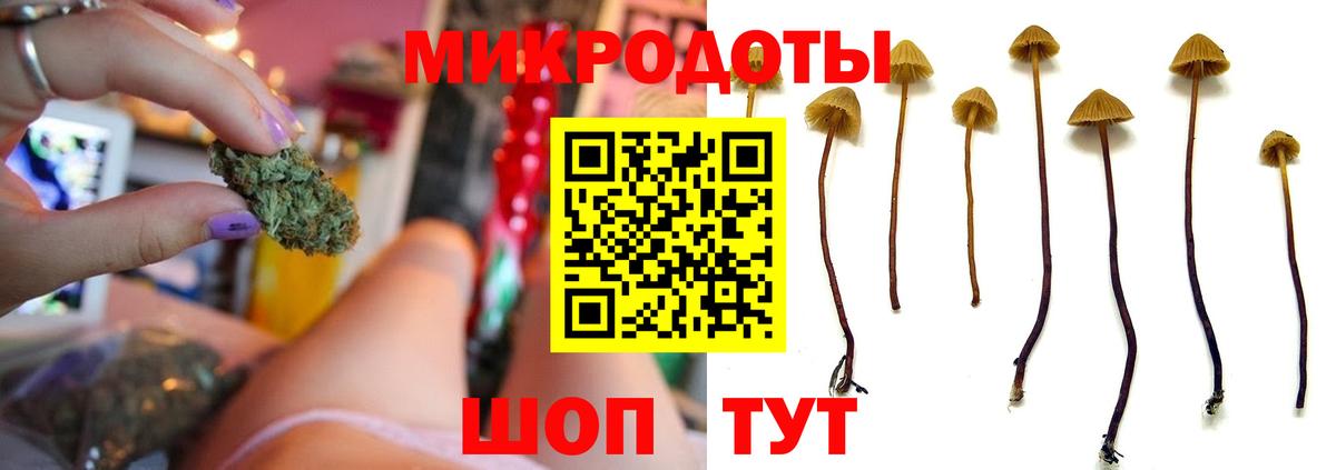 МЕТАДОН Губкинский